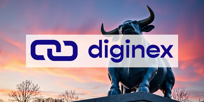 Diginex Secures $13.8 Million Capital Injection Through Warrant Exercise - Foto: über boerse-global.de