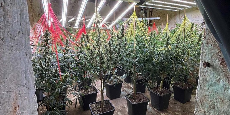 POL-LIP: Kreis Lippe. Gemeinsame Pressemitteilung der Staatsanwaltschaft Detmold und der Kreispolizeibehörde Lippe: Erfolgreicher Schlag gegen Rauschgiftbande - Bilanz des länderübergreifenden Einsatzes. - Foto: presseportal.de