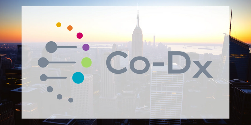 Co-Diagnostics Shares Plummet Following Dilutive Financing Move - Foto: über boerse-global.de