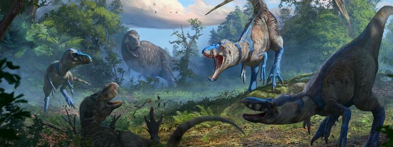 Nanotyrannus war wohl ein schlankerer, schnellerer und wendigerer Jäger als der T-Rex. - Foto: Anthony Hutchings/Nature/dpa