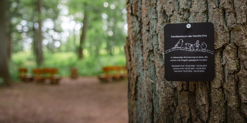 Erfolgsgeschichte FriedWald / Darum wollen immer mehr Menschen lieber in den Wald statt auf den Friedhof - Foto: presseportal.de