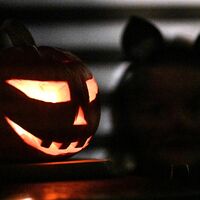 Halloween wird auch in Deutschland gefeiert. - Foto: Swen Pförtner/dpa
