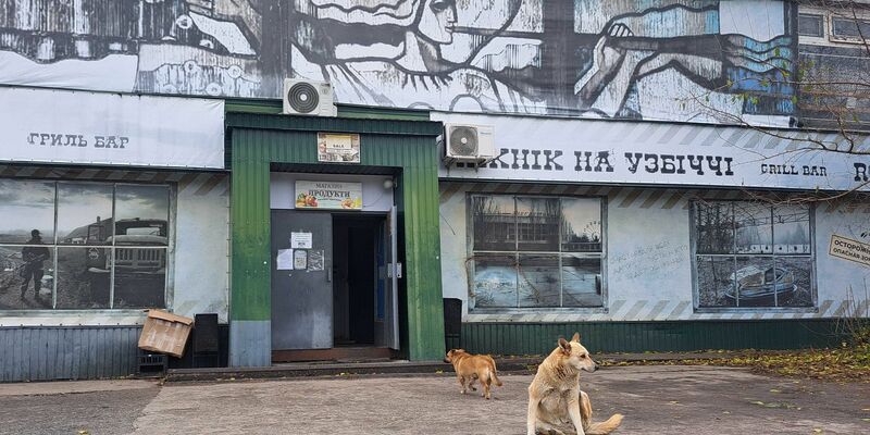 Bis heute gibt es in Tschernobyl eine Population von Straßenhunden.  - Foto: Andreas Stein/dpa