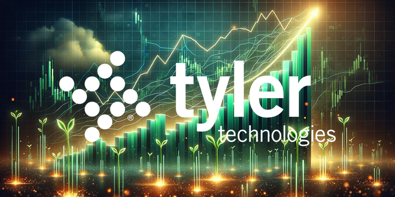 Tyler Technologies: Strong Fundamentals Clash With Market Skepticism - Foto: über boerse-global.de