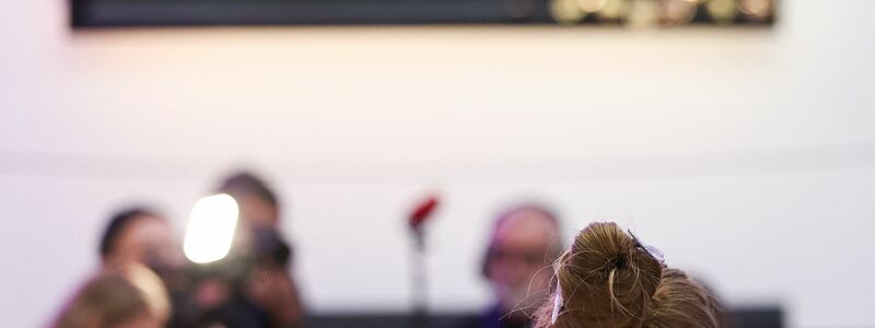 Das Gemälde von Friedrich Heyser wurde zwischenzeitlich umgehängt, um dem Ansturm der Swift-Fans gerecht zu werden.  - Foto: Hannes P. Albert/dpa