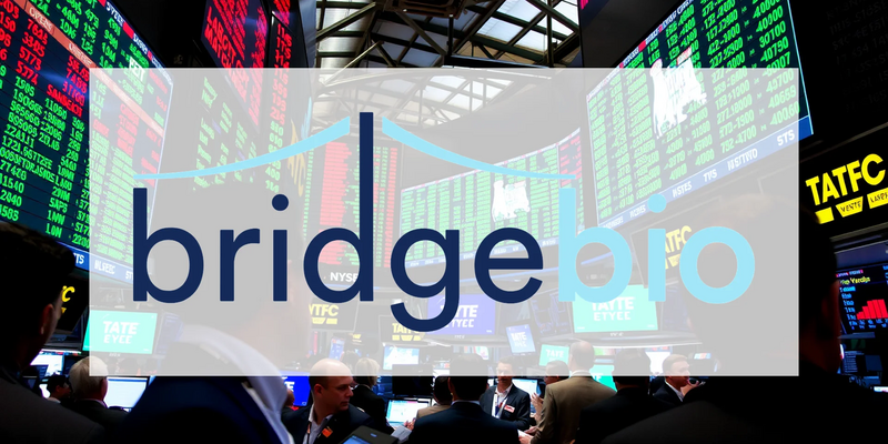 BridgeBio Pharma Investors Await Critical Heart Drug Data - Foto: über boerse-global.de