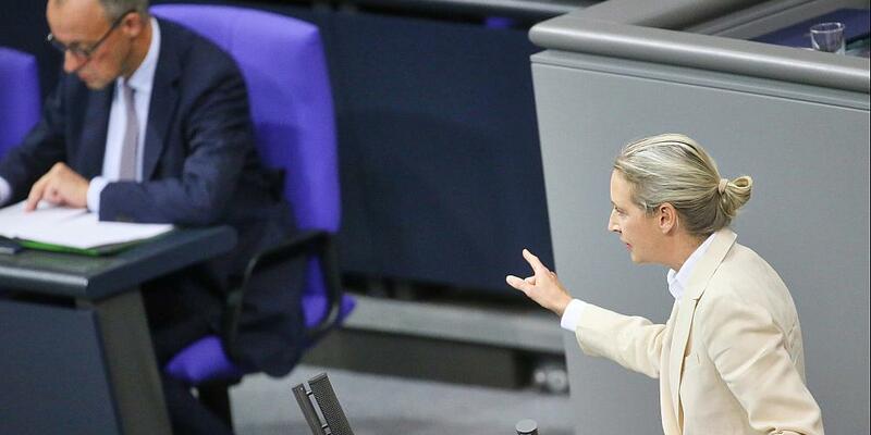 Friedrich Merz und Alice Weidel (Archiv) - Foto: über dts Nachrichtenagentur