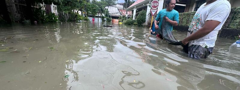 Der Taifun hat zahlreiche Autos aufeinander geschleudert. - Foto: Jacqueline Hernandez/AP/dpa