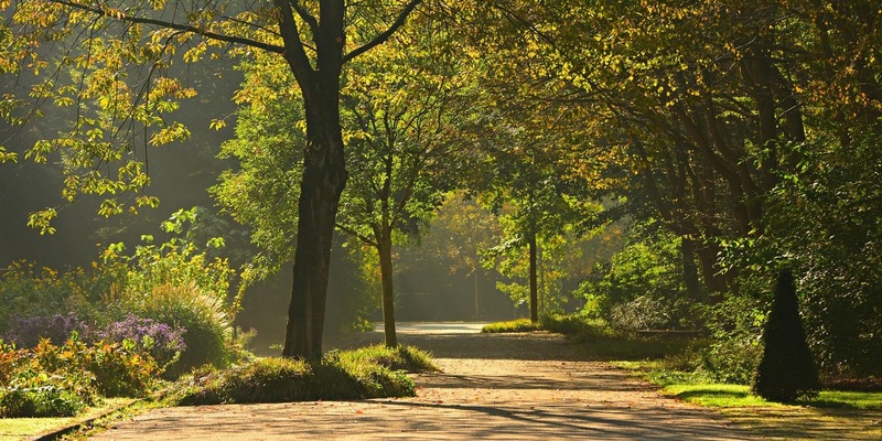 Berlin setzt mit Klimaanpassungsgesetz wichtiges Zeichen für mehr Stadtgrün - Foto: presseportal.de