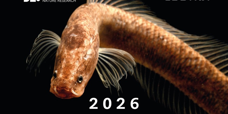 Logwin und Senckenberg präsentieren gemeinsamen Fotokalender One of a Kind - Foto: presseportal.de