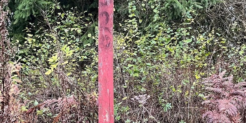 POL-NOM: Eigentümer von verstorbener Hündin gesucht - Foto: presseportal.de