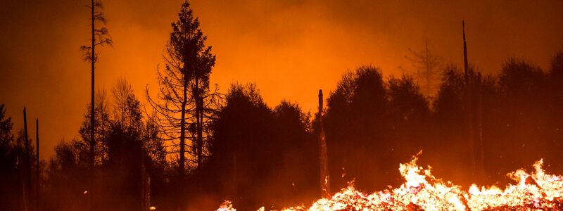 Die Waldbrandgefahr steigt mit dem Klimawandel, da Dürren häufiger werden. (Illustration) - Foto: Daniel Vogl/dpa/dpa-tmn