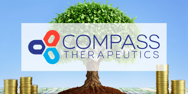 Compass Therapeutics Shares Surge on Promising Cancer Drug Data - Foto: über boerse-global.de