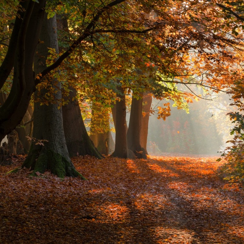 40.000 Euro für die Deutsche Wildtier Stiftung / DAS FUTTERHAUS engagiert sich für Naturschutz und Artenvielfalt - Foto: presseportal.de