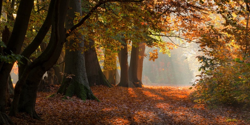 40.000 Euro für die Deutsche Wildtier Stiftung / DAS FUTTERHAUS engagiert sich für Naturschutz und Artenvielfalt - Foto: presseportal.de