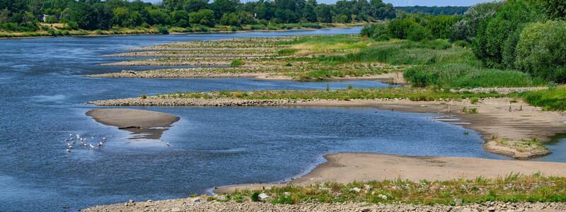 Nun müssen die EU-Länder noch mit dem Europaparlament verhandeln.(Archivbild) - Foto: Patrick Pleul/dpa