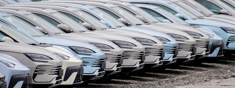Aus China importierte Elektroautos in Wilhelmshaven. Der Druck der chinesischen Industrie auf ihre deutsche Konkurrenz wächst beständig. (Symbolbild) - Foto: Hauke-Christian Dittrich/dpa