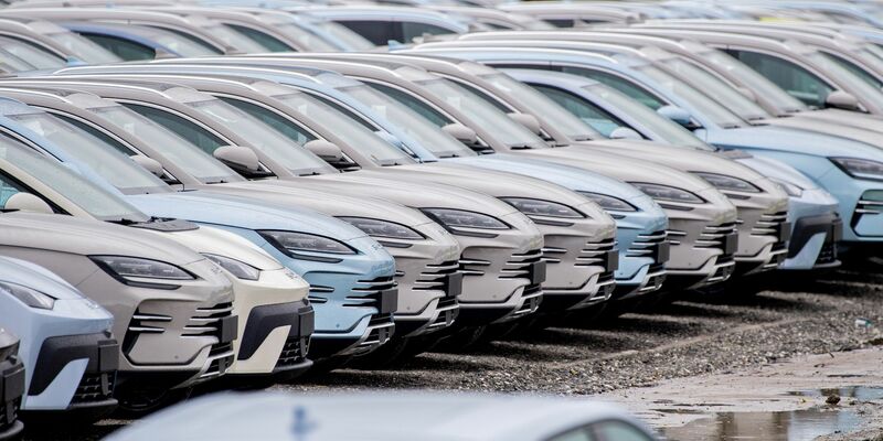 Der chinesische E-Auto-Hersteller BYD konnte seinen Absatz in Deutschland im Oktober erneut steigern. (Archivbild) - Foto: Hauke-Christian Dittrich/dpa