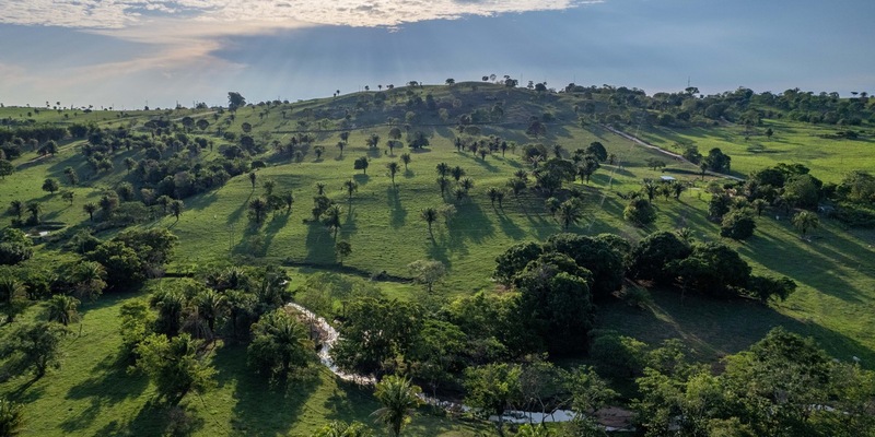 DEKRA verstärkt Engagement für Klimaverantwortung - Foto: presseportal.de