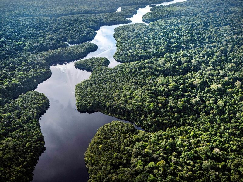 Der Amazonas: extrem wichtig fürs Klima, aber enorm unter Stress. (Archivbild) - Foto: Jorge Saenz/AP/dpa
