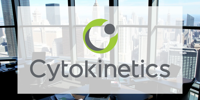 Cytokinetics Faces Critical FDA Decision and Financial Pressure - Foto: über boerse-global.de
