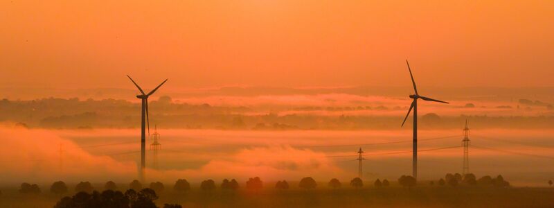 Die OECD fordert mehr Tempo beim Klimaschutz. (Archivbild) - Foto: Julian Stratenschulte/dpa