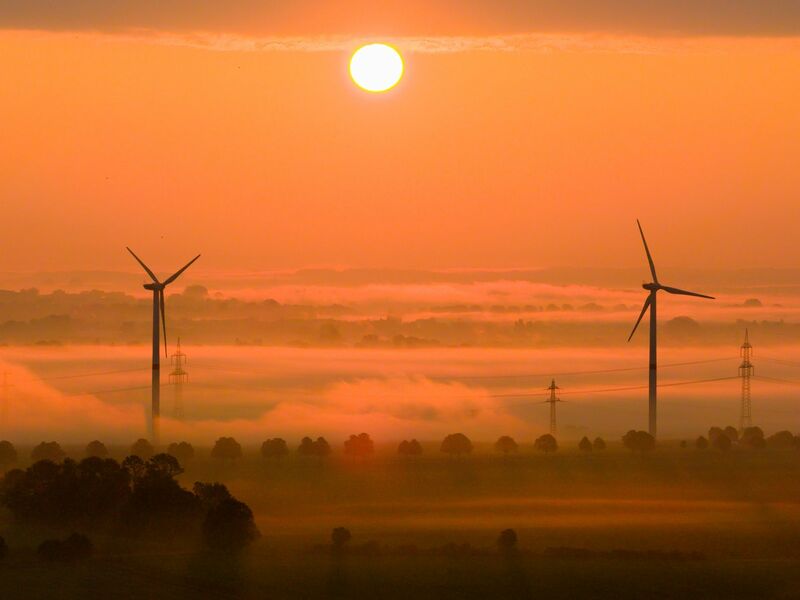 Die OECD fordert mehr Tempo beim Klimaschutz. (Archivbild) - Foto: Julian Stratenschulte/dpa