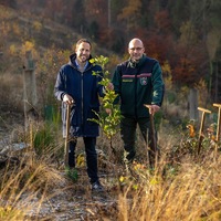 Meilenstein erreicht: Krombacher hat eine Million Bäume gepflanzt - Foto: presseportal.de
