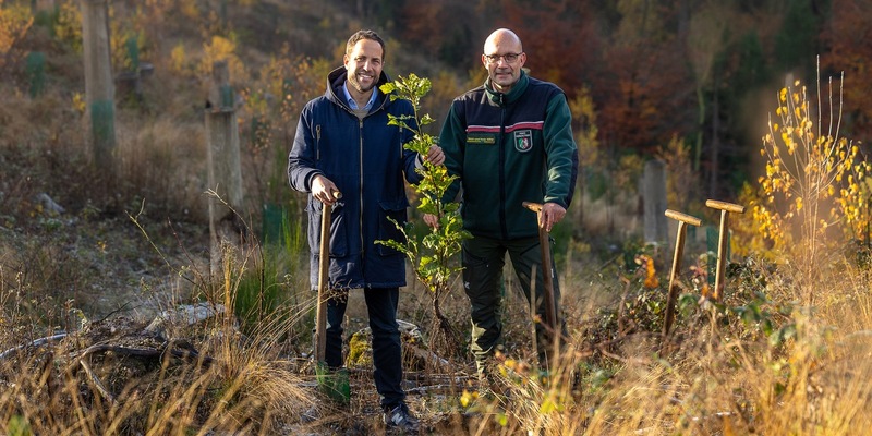 Meilenstein erreicht: Krombacher hat eine Million Bäume gepflanzt - Foto: presseportal.de