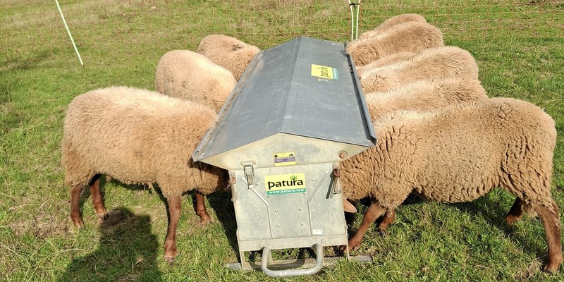 POL-PILEK: Schafe von Weide gestohlen - Foto: presseportal.de