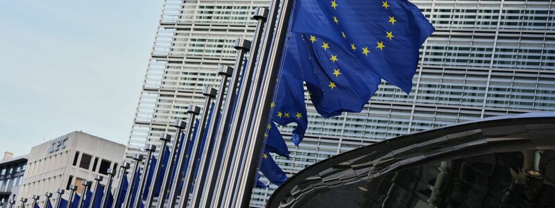 Die EU-Kommission will der Untersuchung Vorrang einräumen (Archivbild) - Foto: Virginia Mayo/AP/dpa