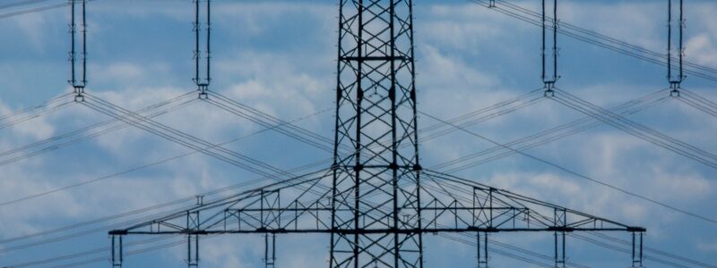 Die Stromkosten in Deutschland sind laut DIHK doppelt hoch wie in Frankreich (Archivbild) - Foto: Jens Büttner/dpa