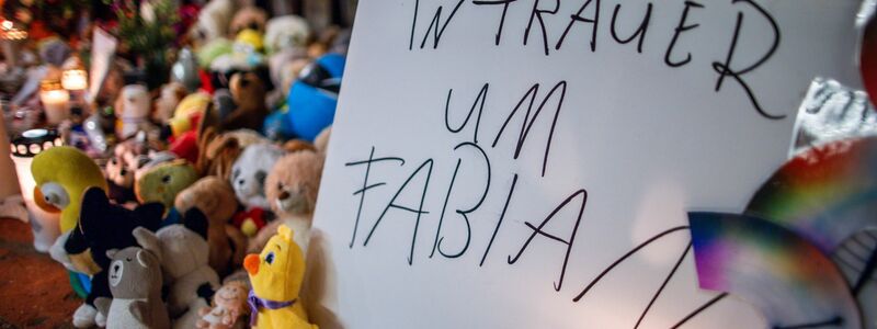 Nach dem gewaltsamen Tod des achtjährigen Fabian aus Güstrow war die Bestürzung weit über Mecklenburg-Vorpommern hinaus groß. (Symbolbild) - Foto: Jens Büttner/dpa