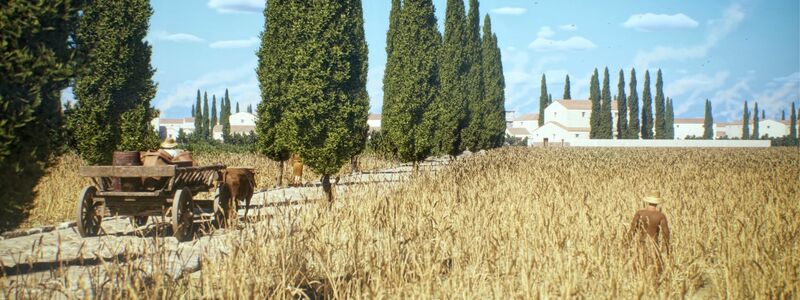 Vielbefahrene Straßen waren oft gepflastert, wie in der antiken Stadt Timgad in Algerien - Foto: -/tiner-e, Artas Media, MINERVA/dpa
