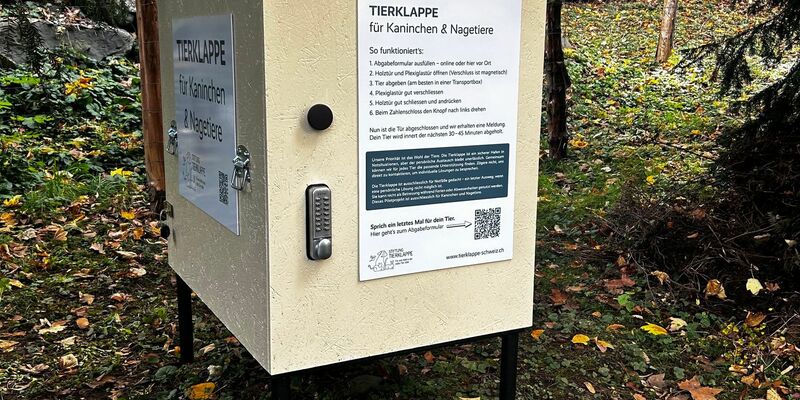 Wenn die Tür geschlossen wird, werden Tierschützer alarmiert. - Foto: -/Stiftung Tierklappe/dpa