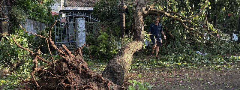 In Vietnam wurden Bäume entwurzelt und Tausende Häuser beschädugt. - Foto: Tuong Quan/Vietnam News Agency/AP/dpa