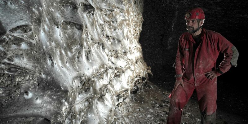 Eine Hauswinkelspinne in ihrem Trichternetz - Foto: Marek Audy/Urak et al. 2025, Subterranean Biology, CC BY 4.0/dpa