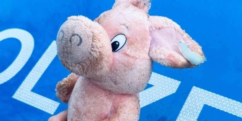 POL-HL: Zeugenaufruf: Welches Kind möchte vor Weihnachten Schwein haben? - Foto: presseportal.de