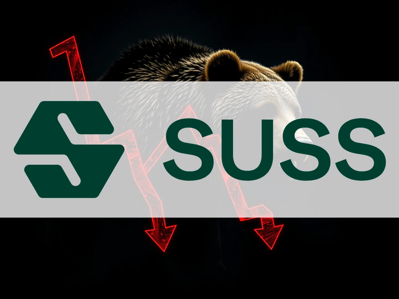 SÜSS MicroTec Aktie: Blitzwende nach Drama - Foto: über boerse-global.de