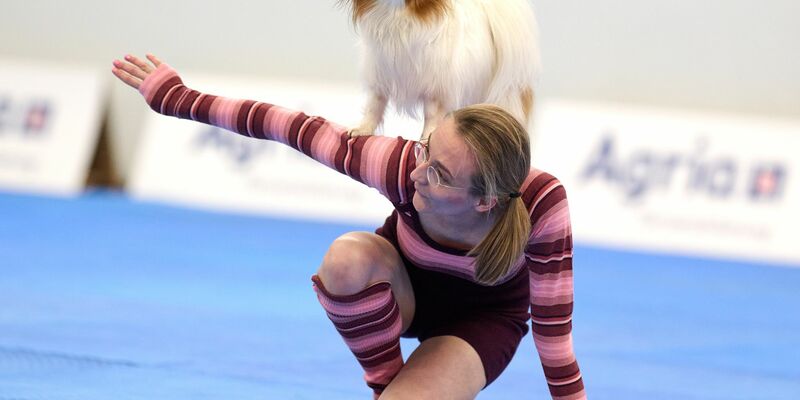 Mehrere Hunderassen wetteiferten mit ihren Besitzern um den Titel - Foto: Bernd Thissen/dpa