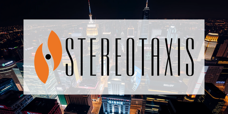 Stereotaxis Stock: A Critical Juncture Approaches - Foto: über boerse-global.de
