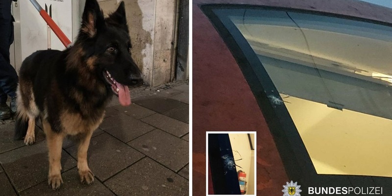Bundespolizeidirektion München: Steinwürfe, Hund im Tunnel und Gewaltdelikte - Foto: presseportal.de