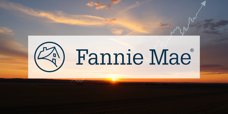U.S. Mortgage Giant Fannie Mae Navigates Policy Shifts and Ownership Uncertainty - Foto: über boerse-global.de