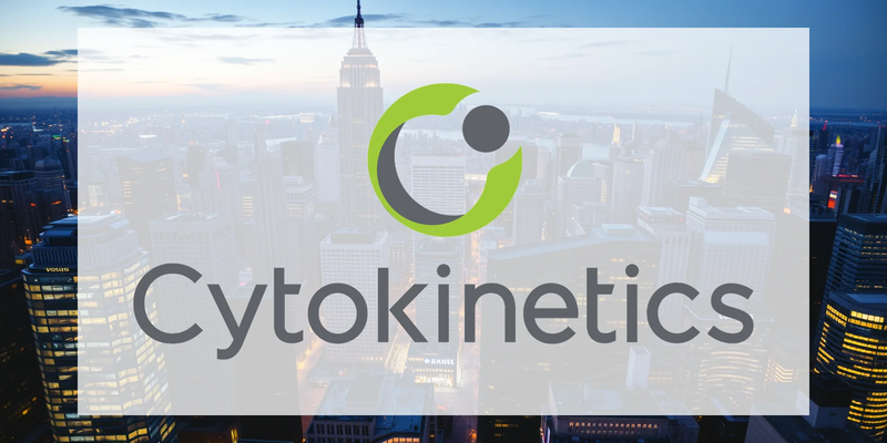 Cytokinetics: A High-Stakes Bet on Regulatory Approval - Foto: über boerse-global.de