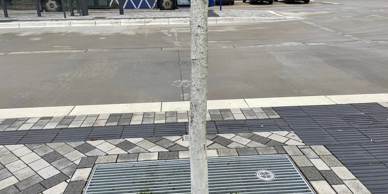 POL-PDTR: Beschädigung eines Baums am ZOB - Foto: presseportal.de