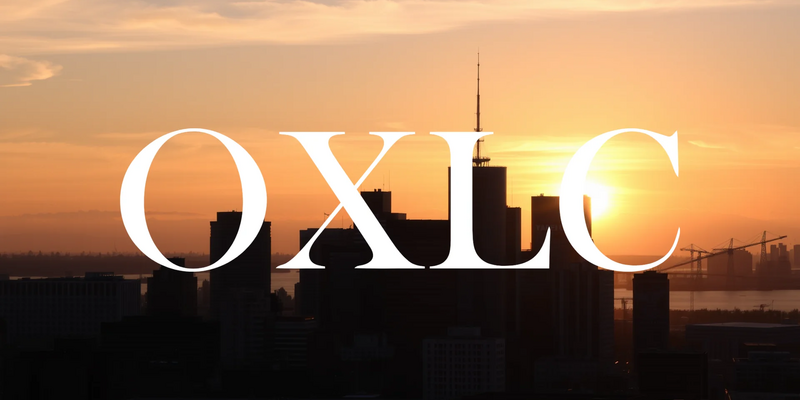 Oxford Lane Capital: Assessing the Investment Case After Mixed Results - Foto: über boerse-global.de