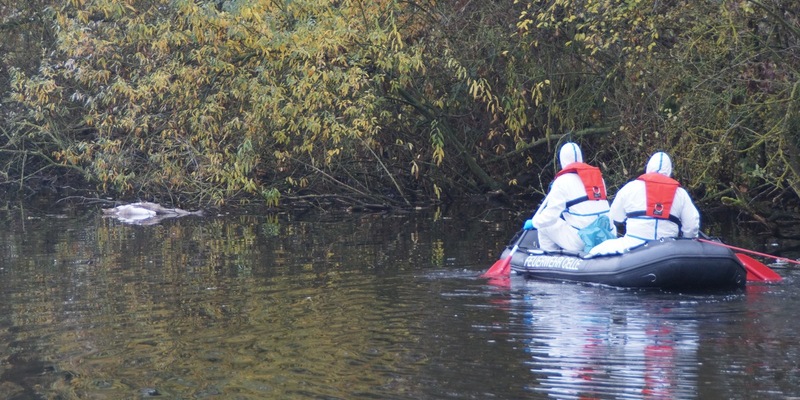 FW Wathlingen: Feuerwehr birgt verendete Schwäne aus Teich - Foto: presseportal.de