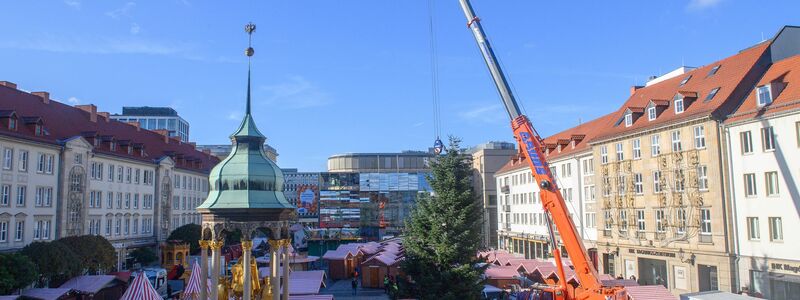 Schon seit Ende Oktober stehen die ersten Buden auf dem Alten Markt vor dem Magdeburger Rathaus. (Archivbild) - Foto: Klaus-Dietmar Gabbert/dpa