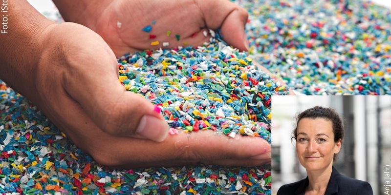 Mikroplastik im Fisch: Studie entwarnt - Risiko geringer als gedacht / Interview mit Ökotoxikologin Dr. Carolin Völker über neue Studienergebnisse - Foto: presseportal.de