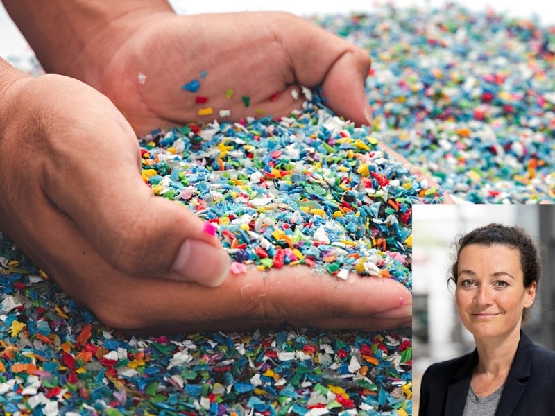 Mikroplastik im Fisch: Studie entwarnt - Risiko geringer als gedacht / Interview mit Ökotoxikologin Dr. Carolin Völker über neue Studienergebnisse - Foto: presseportal.de
